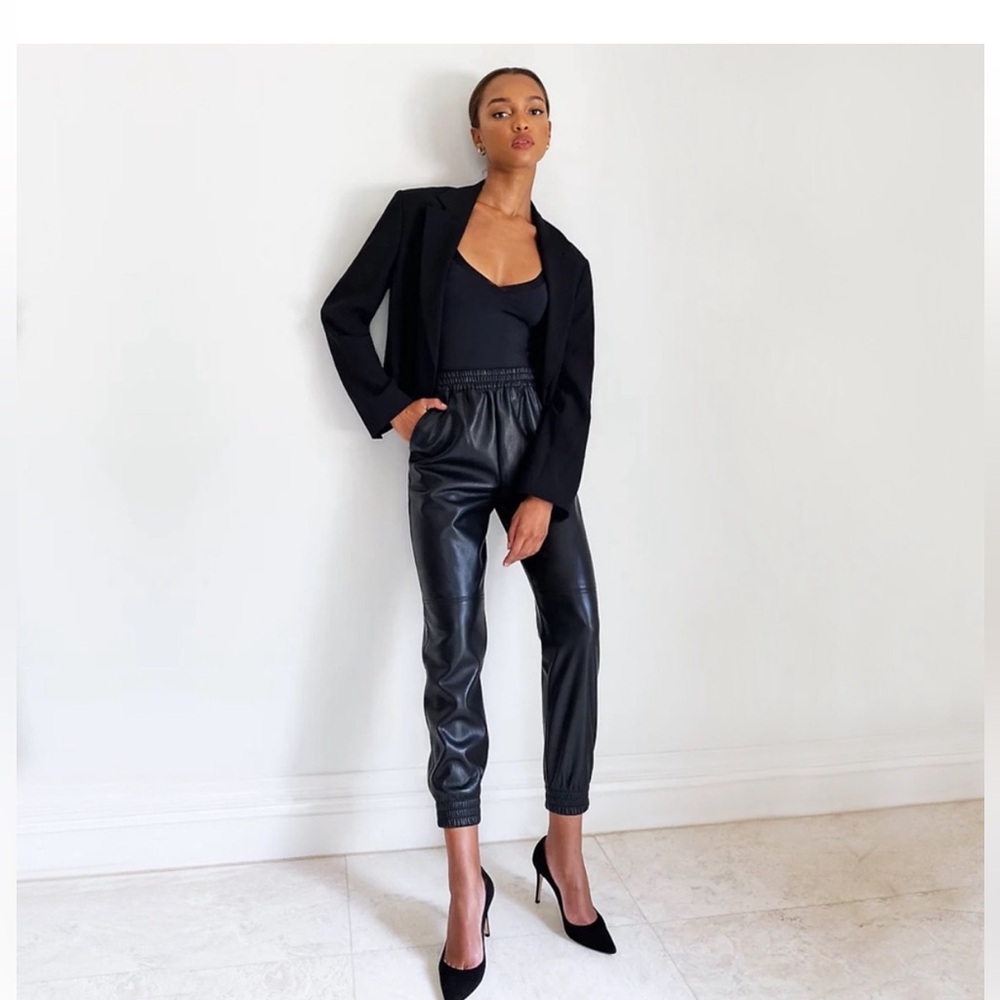 Aritzia Babaton leather jogger pants